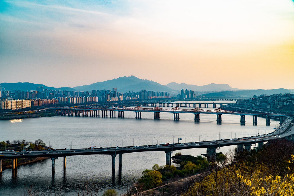 Seoul 1-Day Private Car Charter Service with Professional Driver