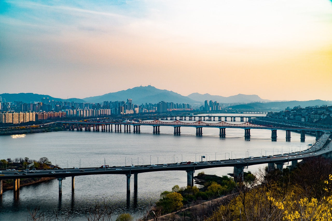 Seoul 1-Day Private Car Charter Service with Professional Driver