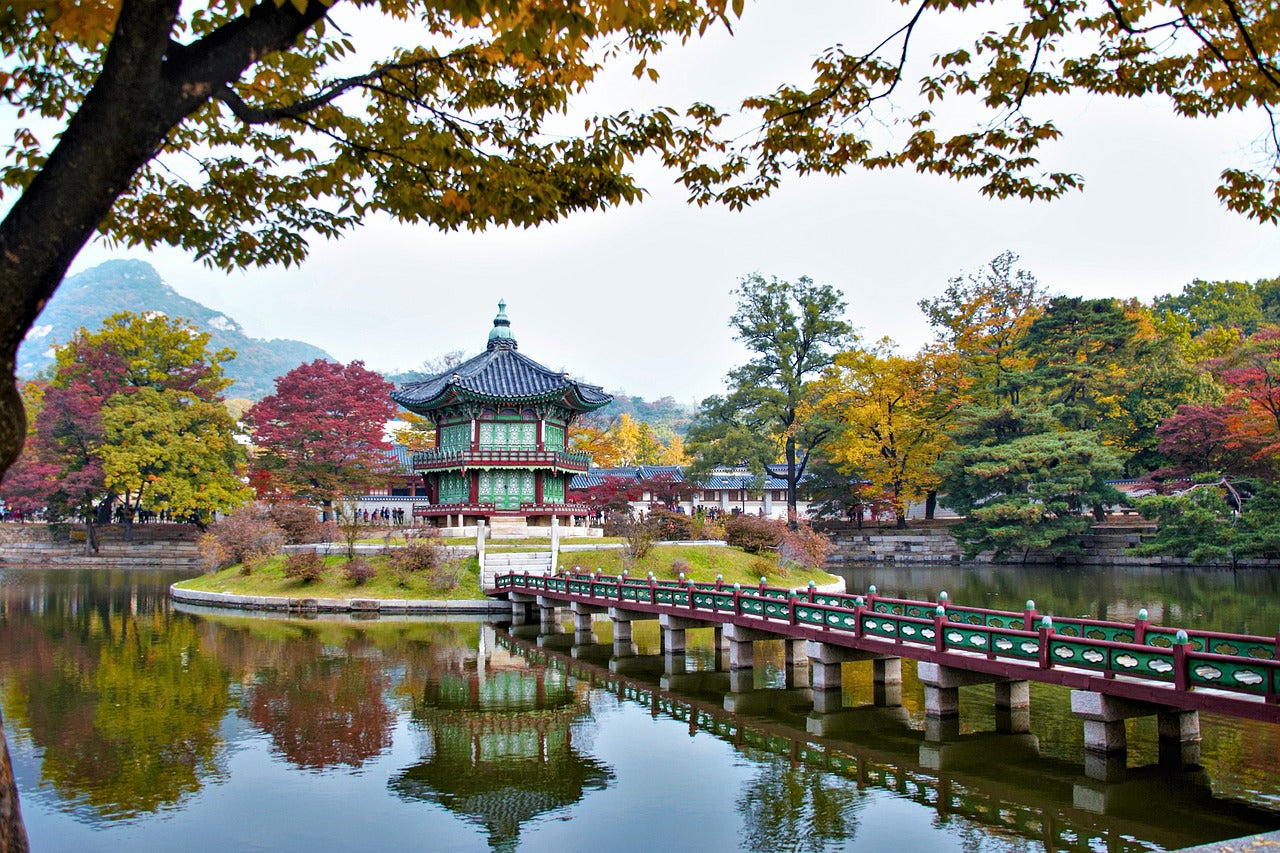 Seoul 1-Day Private Car Charter Service with Professional Driver