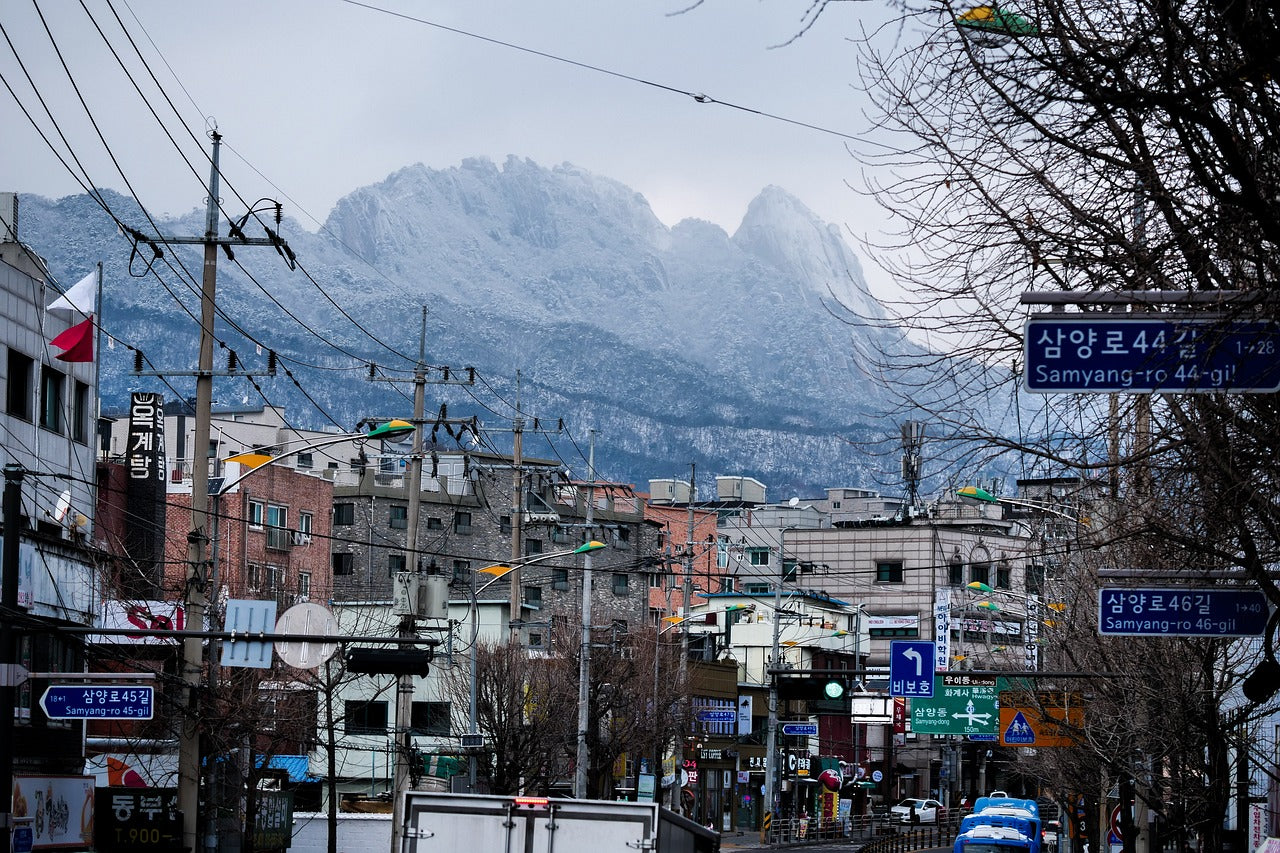 Seoul 1-Day Private Car Charter Service with Professional Driver
