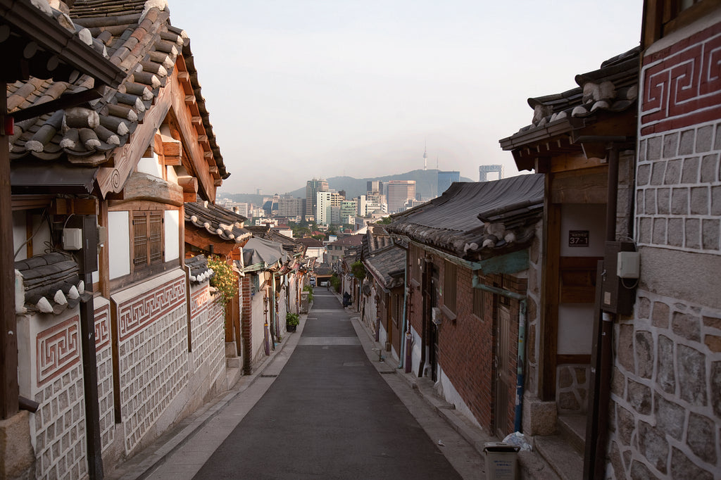 Seoul 1-Day Private Car Charter Service with Professional Driver