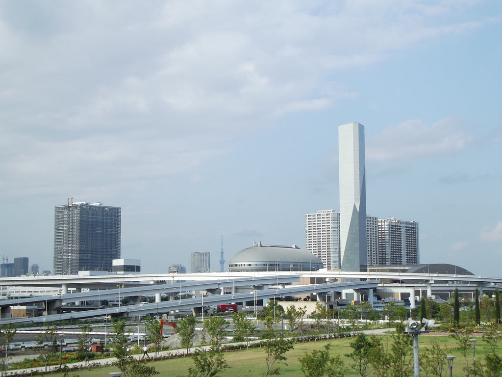 Haneda Airport (HND) to Tokyo City Center - Private Airport Transfer (One-Way)