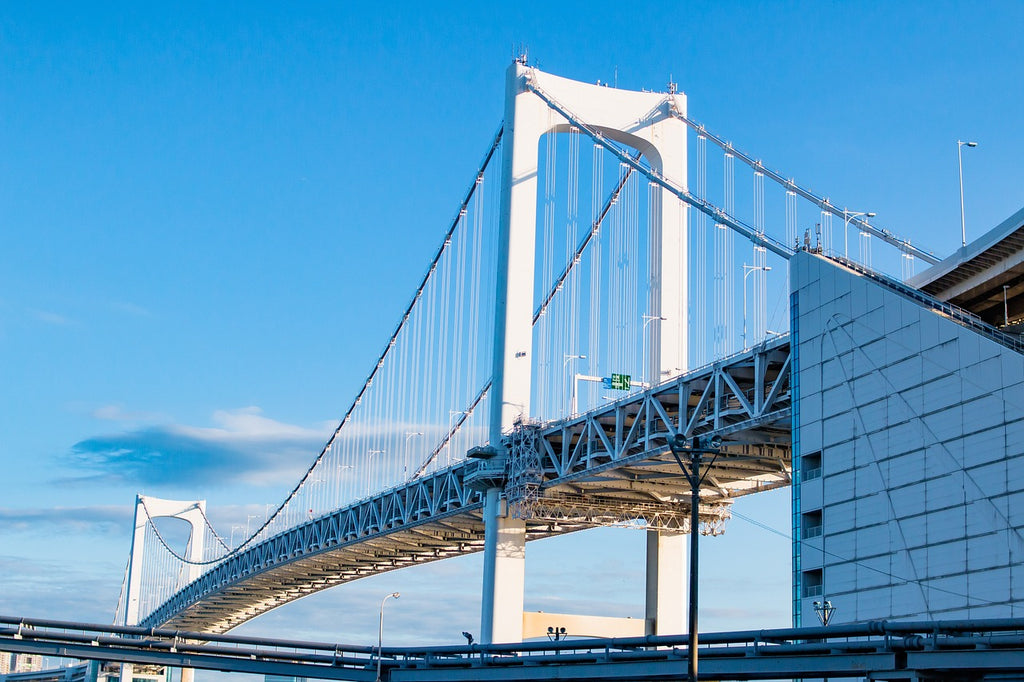 Haneda Airport (HND) to Tokyo City Center - Private Airport Transfer (One-Way)