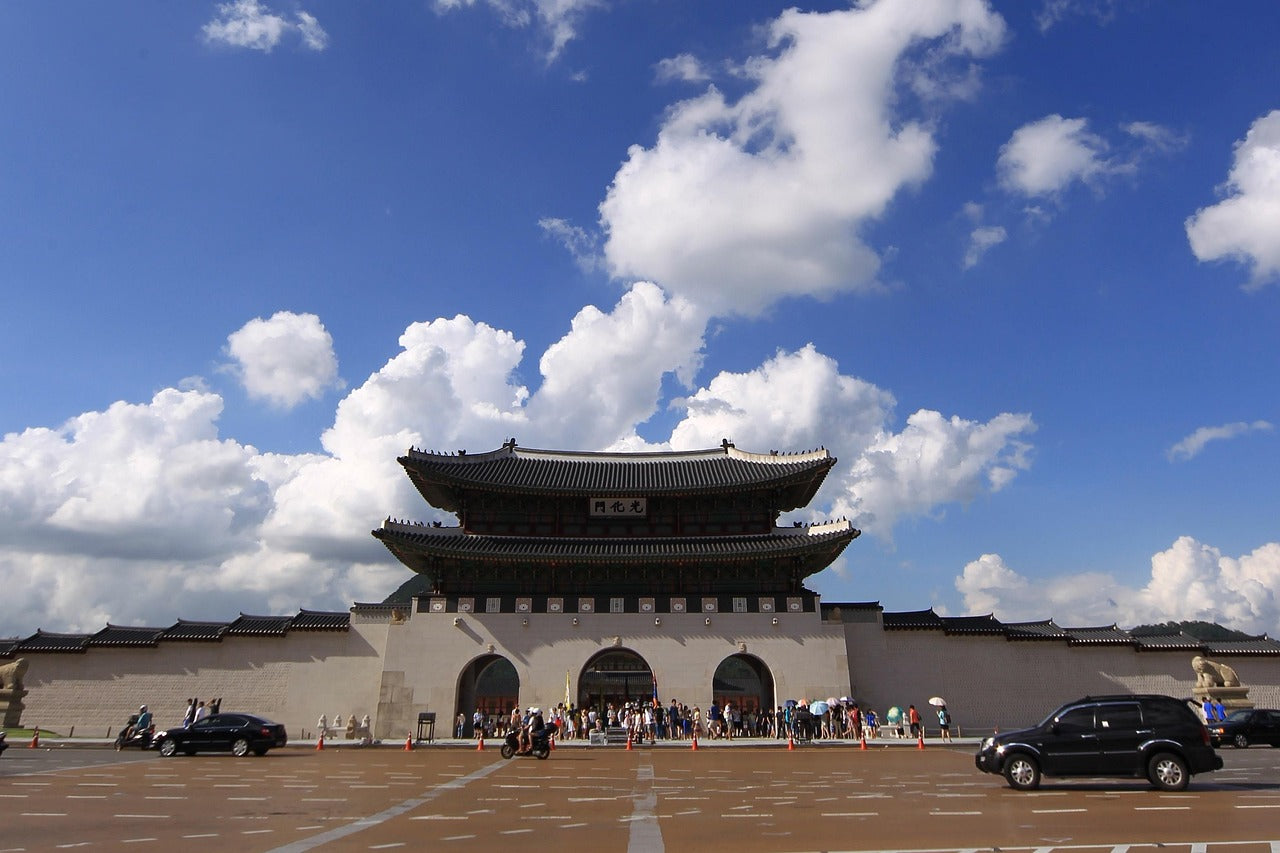 Seoul 1-Day Private Car Charter Service with Professional Driver