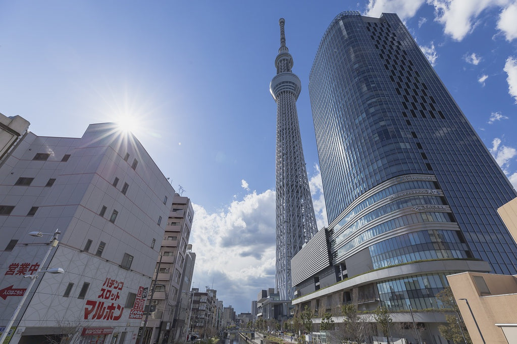 Narita Airport (NRT) to Tokyo City Center - Private Airport Transfer (One-Way)