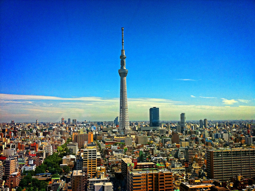 Narita Airport (NRT) to Tokyo City Center - Private Airport Transfer (One-Way)