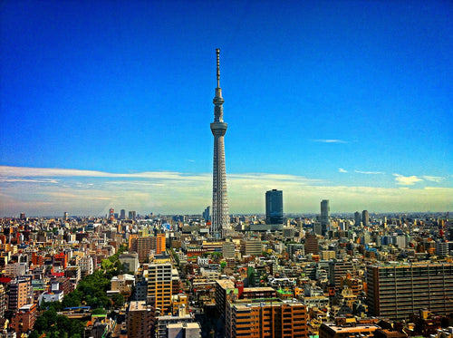 Narita Airport (NRT) to Tokyo City Center - Private Airport Transfer (One-Way)